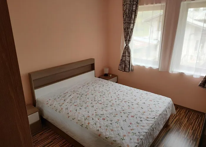 Apartment за гости виктория Chepelare